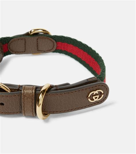 watch out for snakes like a gucci collar